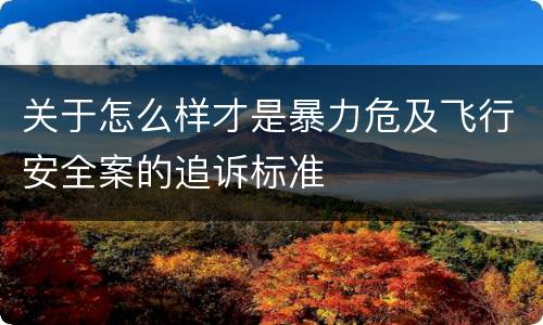 关于怎么样才是暴力危及飞行安全案的追诉标准