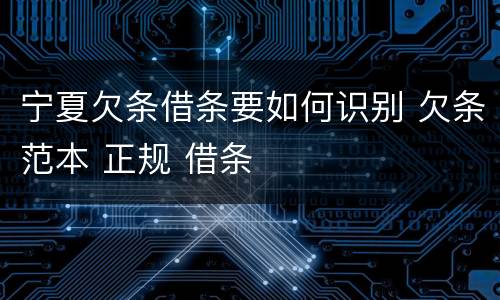 宁夏欠条借条要如何识别 欠条范本 正规 借条