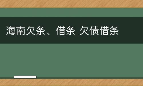 海南欠条、借条 欠债借条