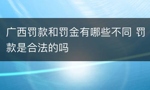广西罚款和罚金有哪些不同 罚款是合法的吗