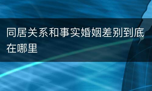 同居关系和事实婚姻差别到底在哪里