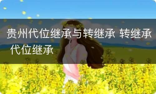 贵州代位继承与转继承 转继承 代位继承