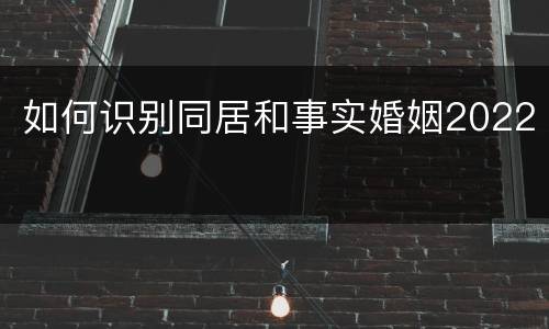 如何识别同居和事实婚姻2022