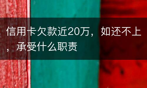 信用卡欠款近20万，如还不上，承受什么职责