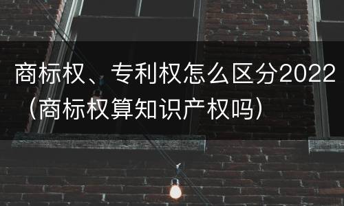 商标权、专利权怎么区分2022（商标权算知识产权吗）