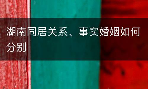 湖南同居关系、事实婚姻如何分别