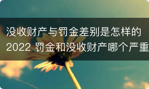没收财产与罚金差别是怎样的2022 罚金和没收财产哪个严重