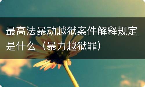 最高法暴动越狱案件解释规定是什么（暴力越狱罪）