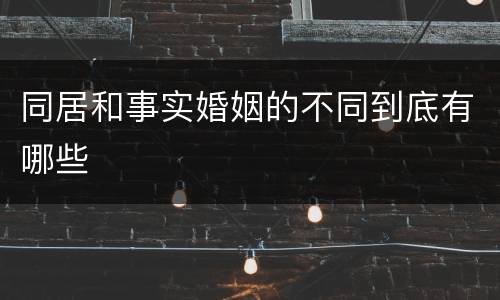 同居和事实婚姻的不同到底有哪些