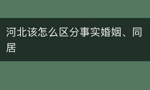 河北该怎么区分事实婚姻、同居