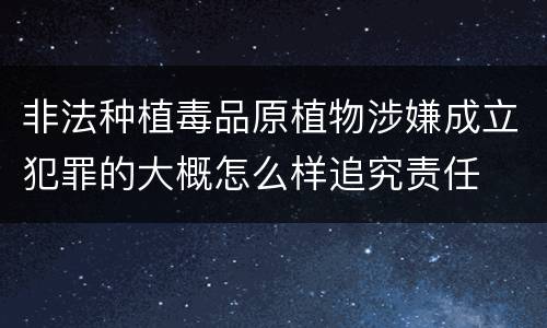 非法种植毒品原植物涉嫌成立犯罪的大概怎么样追究责任