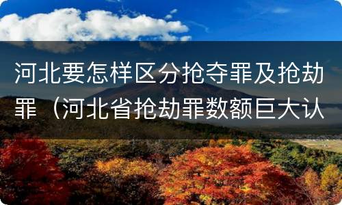 河北要怎样区分抢夺罪及抢劫罪（河北省抢劫罪数额巨大认定标准）