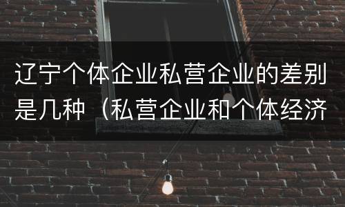 辽宁个体企业私营企业的差别是几种（私营企业和个体经济的区别）