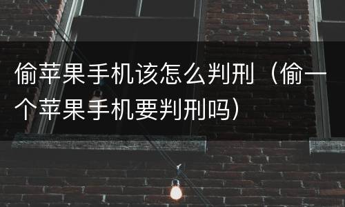 偷苹果手机该怎么判刑（偷一个苹果手机要判刑吗）