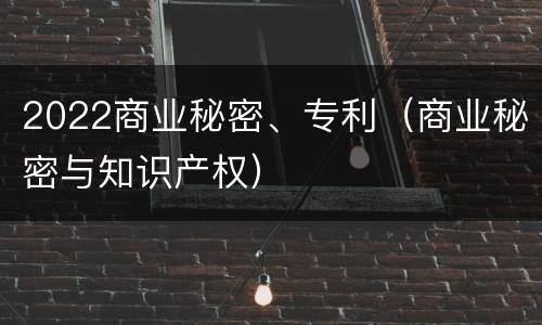 2022商业秘密、专利（商业秘密与知识产权）