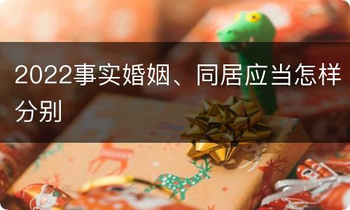 2022事实婚姻、同居应当怎样分别