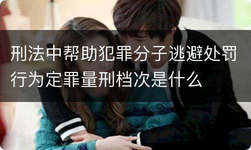 刑法中帮助犯罪分子逃避处罚行为定罪量刑档次是什么