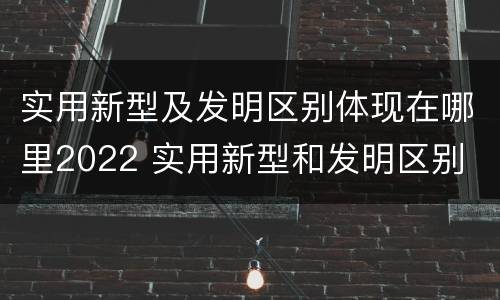 实用新型及发明区别体现在哪里2022 实用新型和发明区别