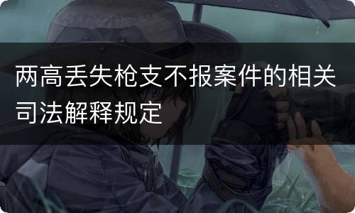 两高丢失枪支不报案件的相关司法解释规定