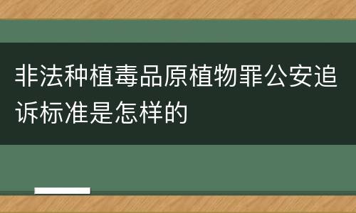 非法种植毒品原植物罪公安追诉标准是怎样的