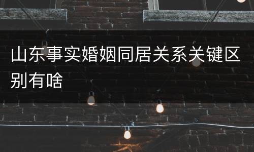 山东事实婚姻同居关系关键区别有啥