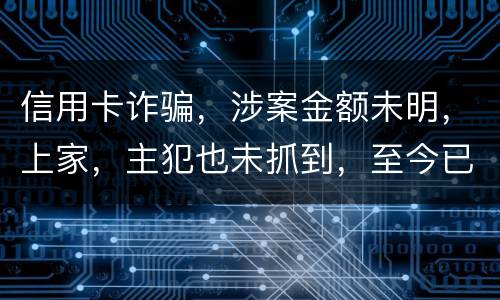 信用卡诈骗，涉案金额未明，上家，主犯也未抓到，至今已有5天，请问可以申请取保吗