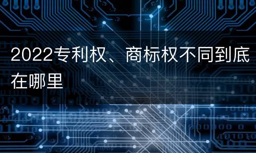 2022专利权、商标权不同到底在哪里