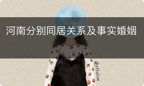 河南分别同居关系及事实婚姻