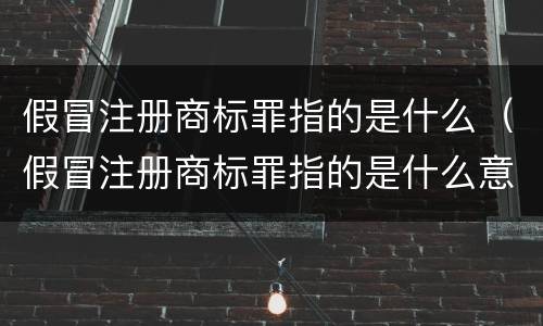 假冒注册商标罪指的是什么（假冒注册商标罪指的是什么意思）