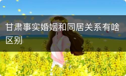 甘肃事实婚姻和同居关系有啥区别