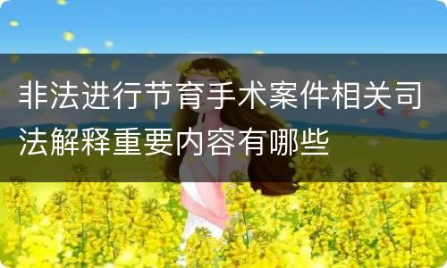 非法进行节育手术案件相关司法解释重要内容有哪些