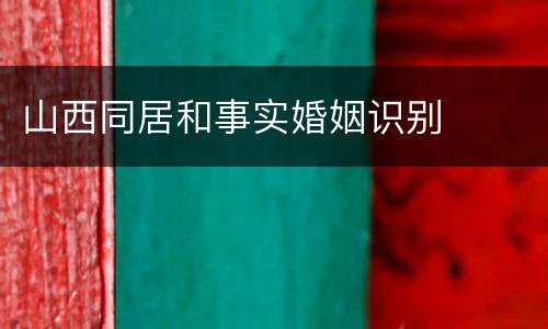 山西同居和事实婚姻识别