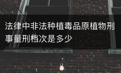 法律中非法种植毒品原植物刑事量刑档次是多少