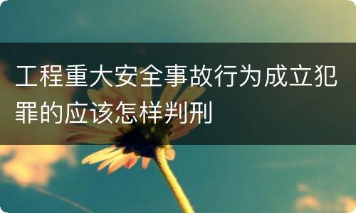 工程重大安全事故行为成立犯罪的应该怎样判刑