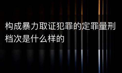 构成暴力取证犯罪的定罪量刑档次是什么样的