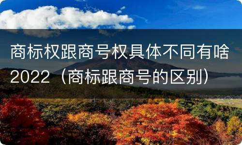 商标权跟商号权具体不同有啥2022（商标跟商号的区别）