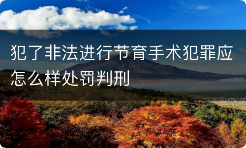 犯了非法进行节育手术犯罪应怎么样处罚判刑