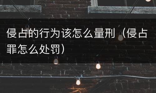 侵占的行为该怎么量刑（侵占罪怎么处罚）