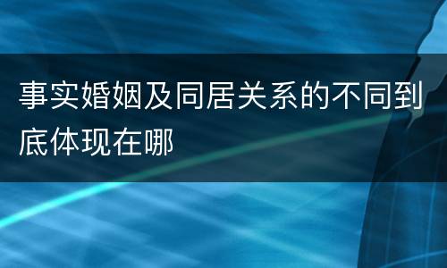事实婚姻及同居关系的不同到底体现在哪