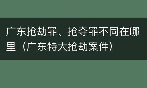 广东抢劫罪、抢夺罪不同在哪里(广东特大抢劫案件)