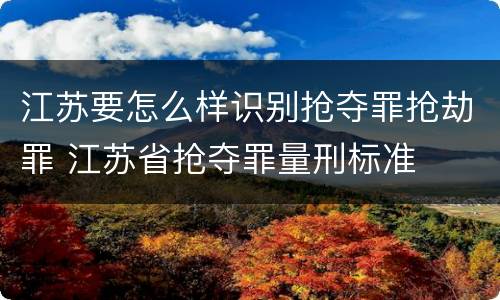 江苏要怎么样识别抢夺罪抢劫罪 江苏省抢夺罪量刑标准