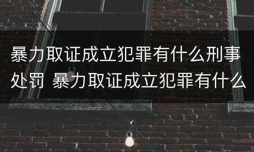 暴力取证成立犯罪有什么刑事处罚 暴力取证成立犯罪有什么刑事处罚吗