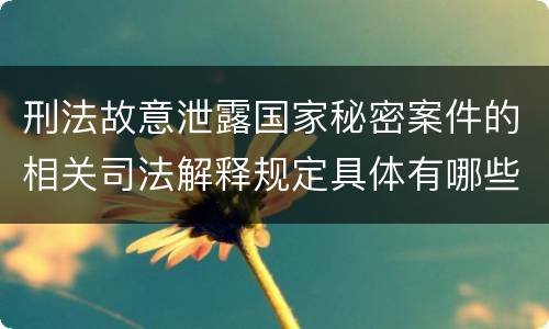 刑法故意泄露国家秘密案件的相关司法解释规定具体有哪些内容