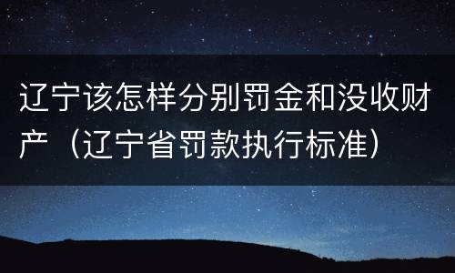 辽宁该怎样分别罚金和没收财产（辽宁省罚款执行标准）