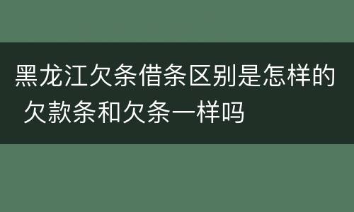 黑龙江欠条借条区别是怎样的 欠款条和欠条一样吗