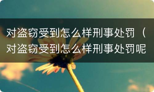 对盗窃受到怎么样刑事处罚（对盗窃受到怎么样刑事处罚呢）