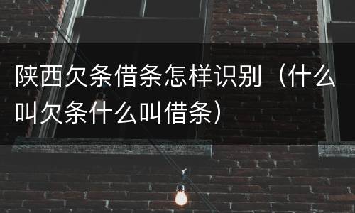 陕西欠条借条怎样识别（什么叫欠条什么叫借条）