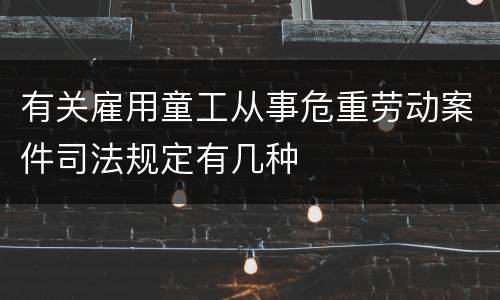 有关雇用童工从事危重劳动案件司法规定有几种