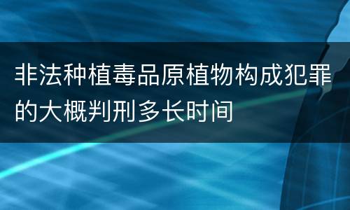 非法种植毒品原植物构成犯罪的大概判刑多长时间