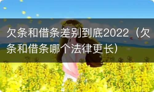 欠条和借条差别到底2022（欠条和借条哪个法律更长）